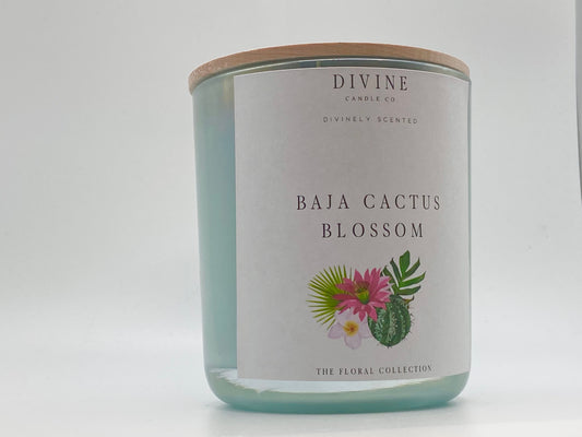 Baja Cactus Blossom