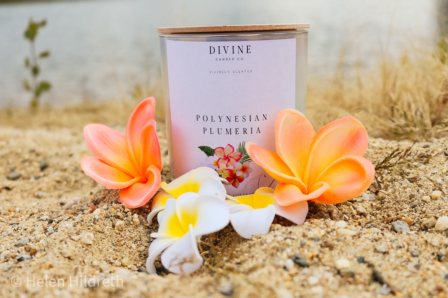 Polynesian Plumeria