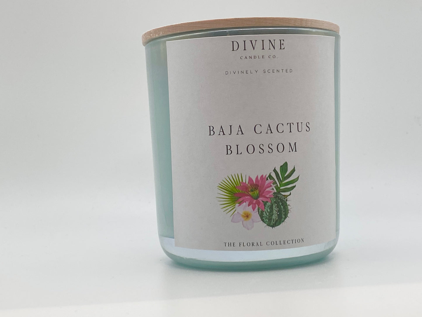 Baja Cactus Blossom