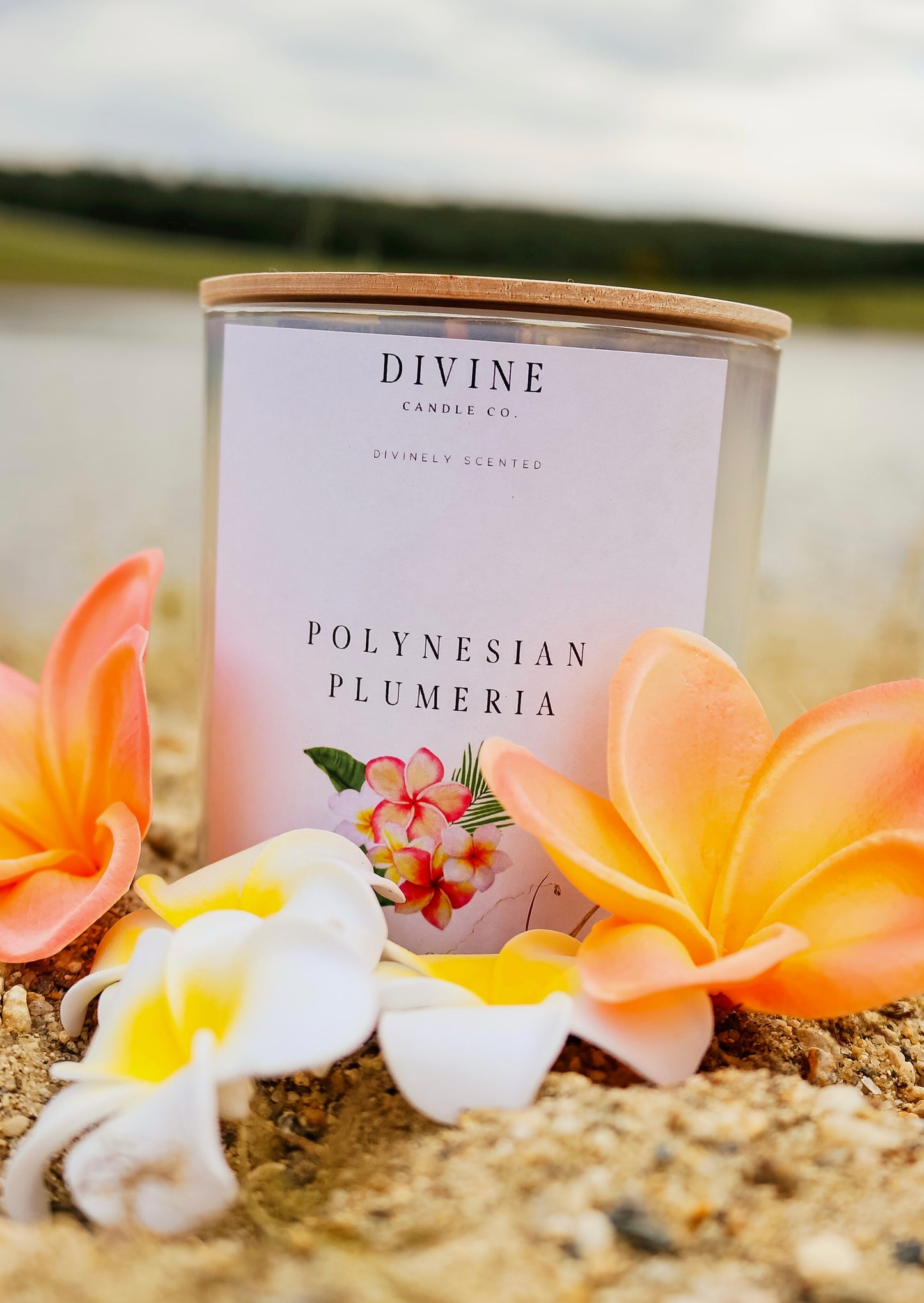 Polynesian Plumeria